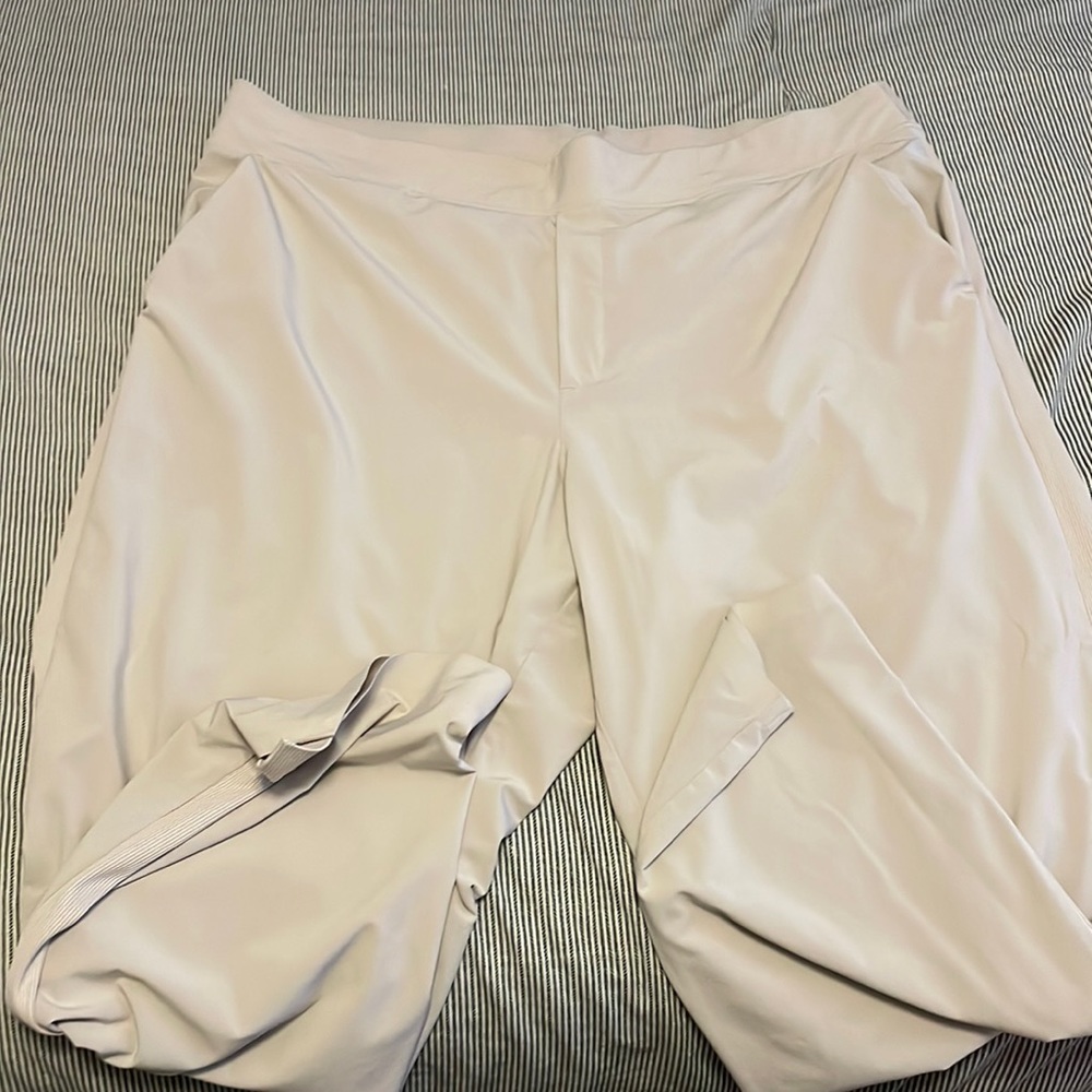 Athleta Brooklyn ankle pants 20